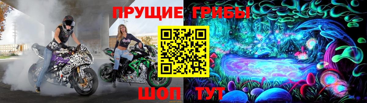 Жуковский  Псилоцибиновые грибы мухоморы  Вход с VPN 